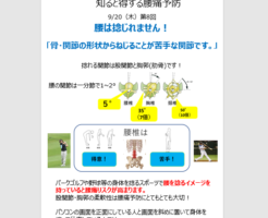 腰はねじれません。ねじるのが苦手な関節です。　腰痛　トレル　帯広　