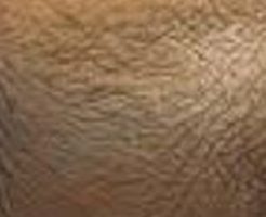 これは何でしょう？「多角的視点」