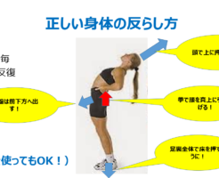あなたは大丈夫？解説　日本人に多い腰痛タイプ