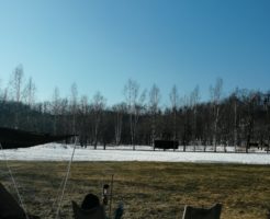 キャンプ・テントサウナ・最高