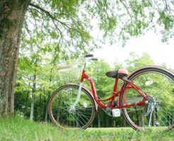 身体にいい自転車の乗り方～