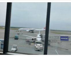 運転しながらでも出来る！ 首回りのお手入れ方法～