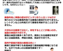 FM WING76.1MHz 毎週木曜日　朝8：20～ 「知ると得する腰痛予防！」