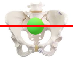 身体の重心のコントロール