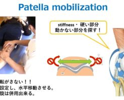 正しい膝のお皿の動かし方