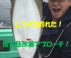 疲れ目改善アプローチ！　ヒラメ釣り。。