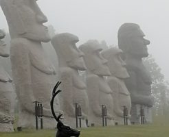 40肩、50肩の治し方