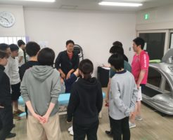 膝のお皿は大事な機能があります。