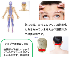 FM WING76.1MHz 毎週木曜日　朝8：20～ 「知ると得する腰痛予防！」