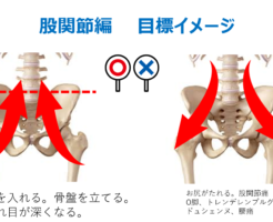 お尻の割れ目は深く使おう！