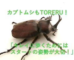 「キレイに歩くためには 　　スタートの姿勢が大切！」