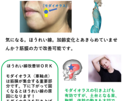 FM WING76.1MHz 毎週木曜日　朝8：20～ 「知ると得する腰痛予防！」