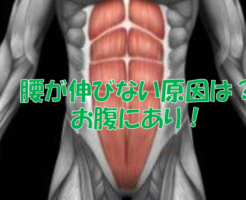 腰が伸びない原因は？お腹にあり！