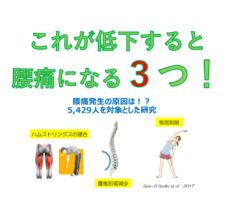 「これが低下すると腰痛になる３つ！」