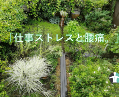 「仕事ストレスと腰痛」