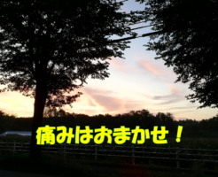 痛みはおまかせ！