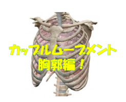 カップルムーブメント胸郭編