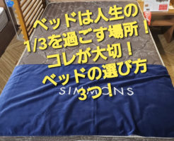 ベッドは人生の1/3を過ごす場所！コレが大切！ベッドの選び方3つ！