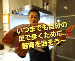 いつまでも自分の足で歩くために…猫背を治そう〜