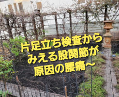 片足立ち検査からみえる股関節が原因の腰痛〜