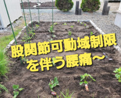 股関節可動域制限を伴う腰痛〜