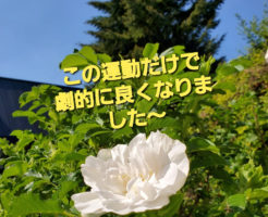 この運動だけで劇的に良くなりました〜