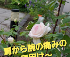 肩から腕の痛みの原因は〜