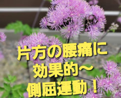 片方の腰痛に効果的〜側屈運動！