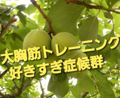 大胸筋トレーニング好きすぎ症候群