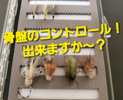 骨盤のコントロール！出来ますか〜？