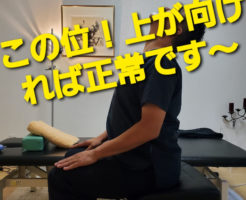 この位！上が向ければ正常です〜