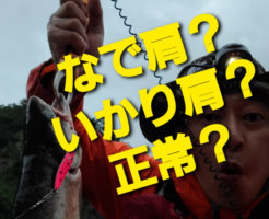 なで肩？いかり肩？正常？