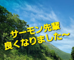 サーモン先輩良くなりました〜