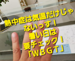 熱中症は気温だけじゃないっす！暑い日は要チェック！「ＷＢＧＴ」