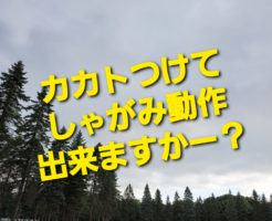 カカトつけてしゃがみ動作出来ますか？