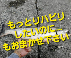 もっとリハビリしたいのに…もおまかせ下さい！