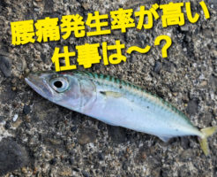 腰痛発生率が高いお仕事は〜？