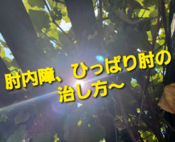 お子様の肘内障、ひっぱり肘の治し方〜