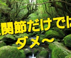 股関節だけではダメ〜
