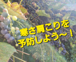 寒さ肩こりを予防しよう〜！