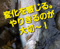 変化を感じる。やりきるのが大切〜！