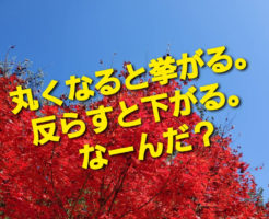 丸くなると挙がる。反らすと下がる。なーんだ？