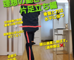 理想の動きシリーズ！片足立ち編
