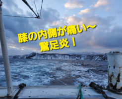 膝の内側が痛い～鵞足炎！