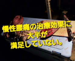 慢性腰痛の治療効果に大半が満足していない。