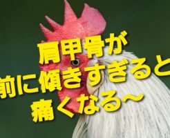 肩甲骨が前に傾きすぎると痛くなる〜