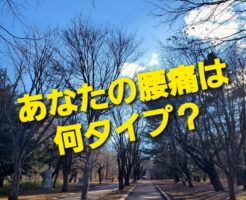 あなたの腰痛は何タイプ？