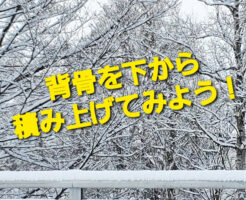背骨を下から積み上げてみよう！