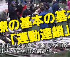 治療の基本の基本！「運動連鎖」