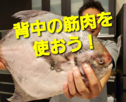 背中の筋肉を使おう！